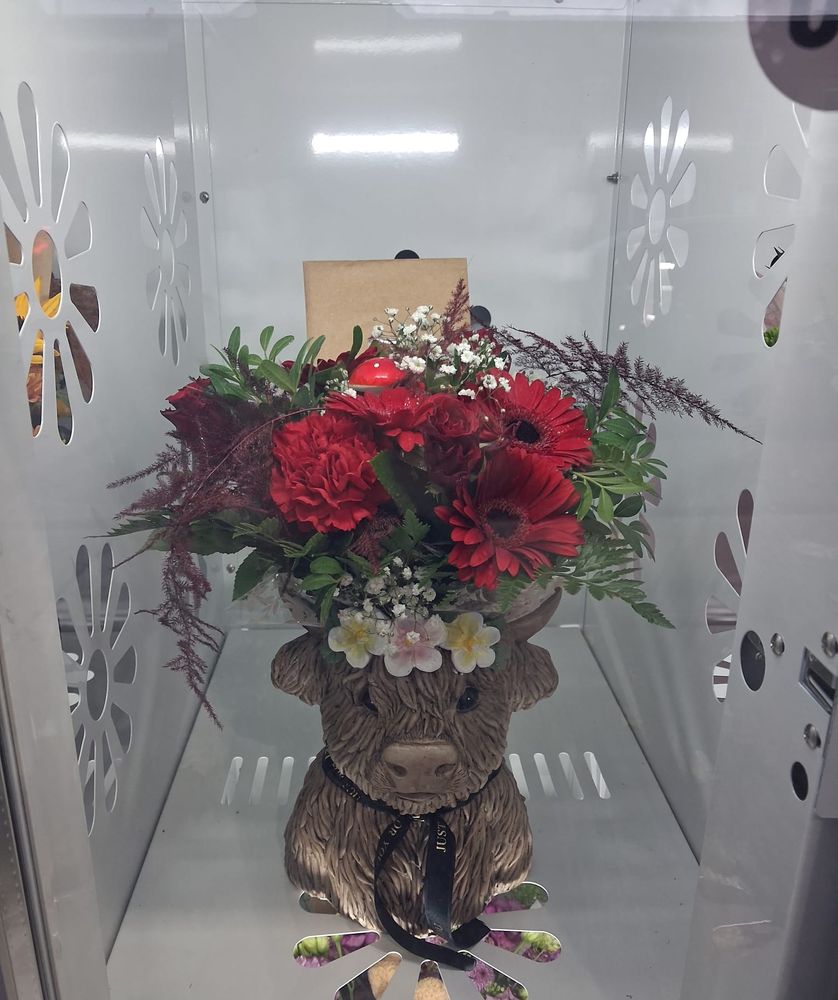 Red gerberas, carnations and roses arranged in a highland cow planter